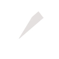 温州临时保镖服务